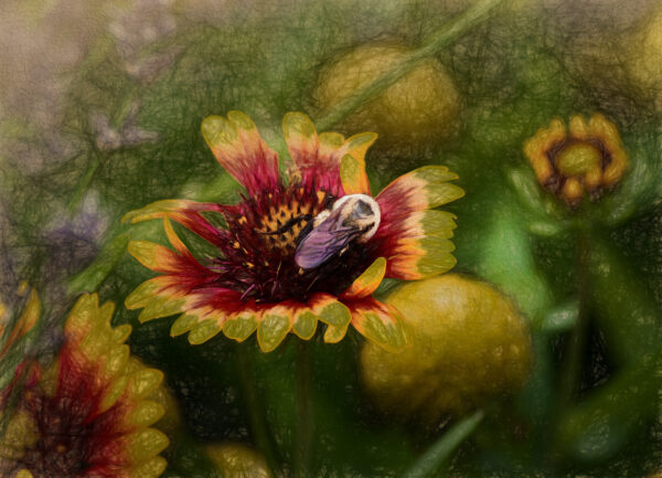 Bees and Mums