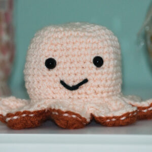 Crochet Amigurumi Reversible Mood Octopus