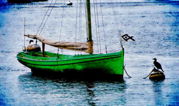 Plymouth Harbor Pram 2